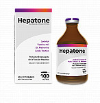 HEPATONE X 100 CC RICH