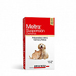 MELTRA SUSP. CACHORR. X 15 ML