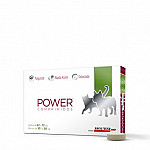 POWER COMPR 2800 MG H/40 KG