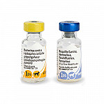 RECOMBITEK C8 (QUINTUPLE + L4)