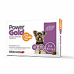 GOLD 1 MES POWER 2 A 4.5 -45 MG